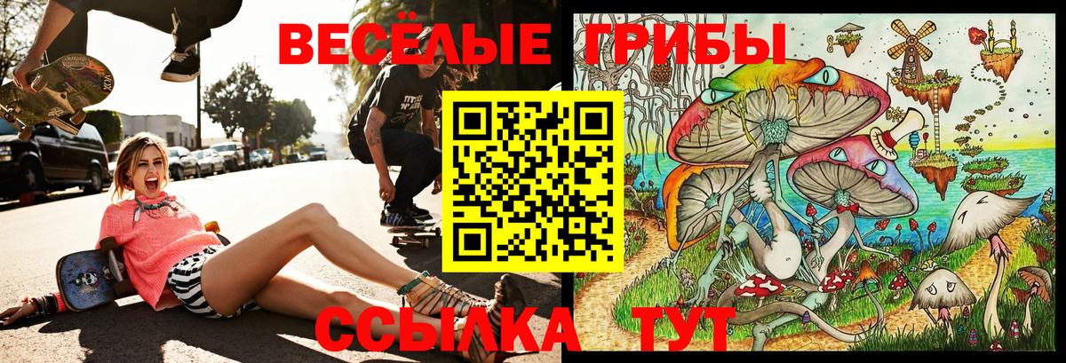 Галлюциногенные грибы Psilocybine cubensis Шадринск
