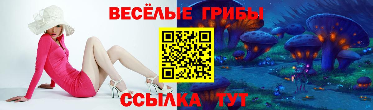 Псилоцибиновые грибы Psilocybe  Вход с VPN  Шадринск 